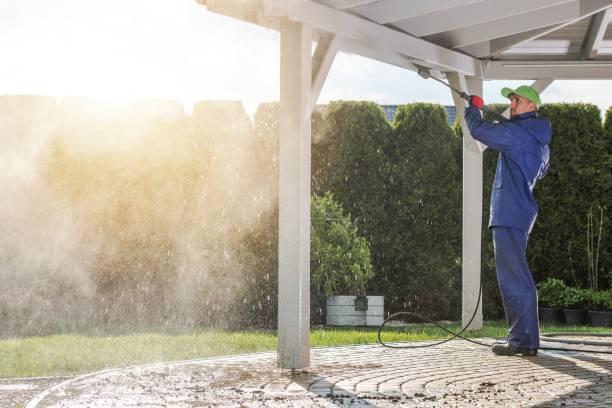 Best Sign and Awning Cleaning  in Carrizozo, NM