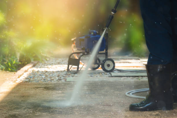 Best Gutter Cleaning  in Carrizozo, NM